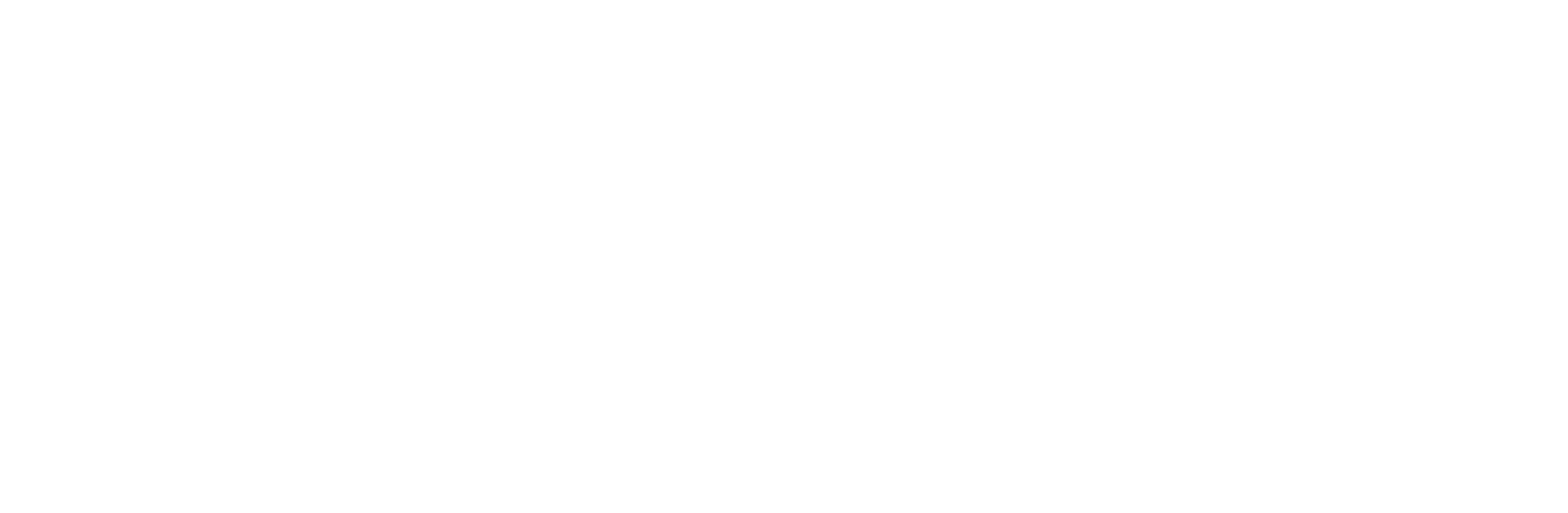 Velolog